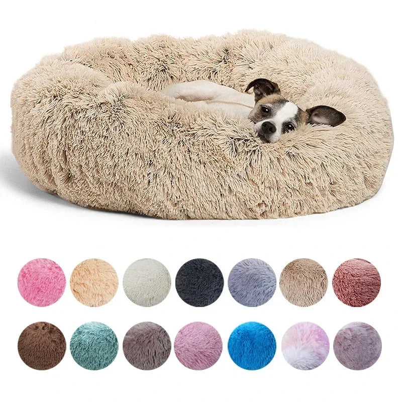 Pet Bed