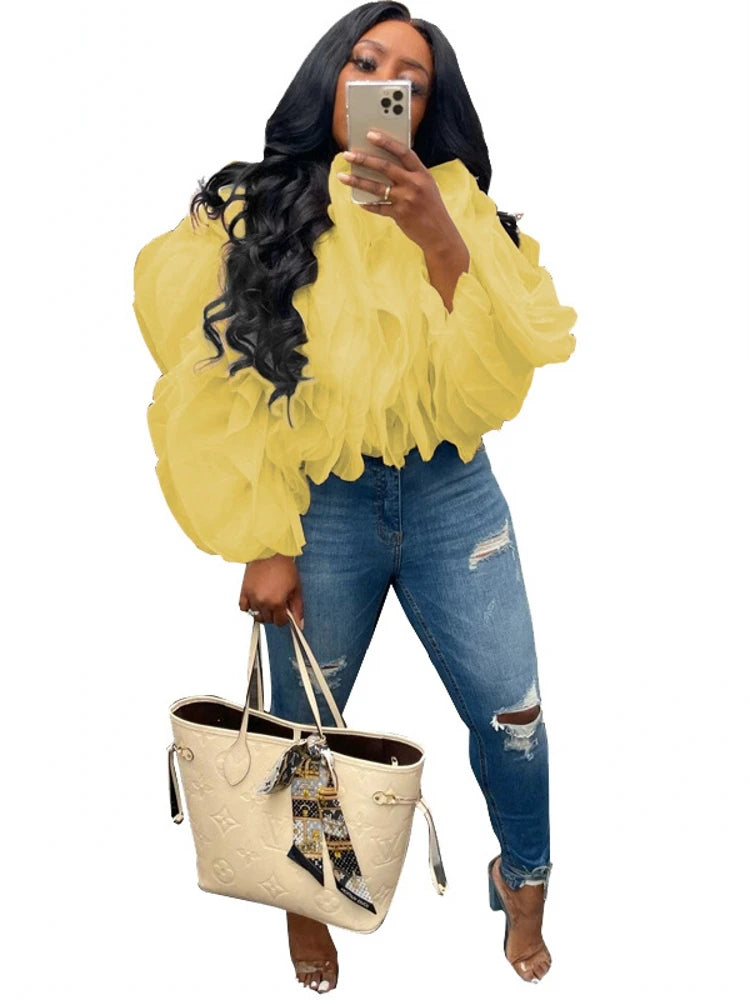 Women Chiffon Long Sleeve Shirt